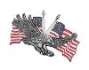 Emblème Highway Hawk "Eagle USA-Flag" 11 cm pour autocollant à coller