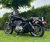 Sacoche latérale de cadre en Cuir - Gros Modéle Tête de Mort SKULL (Pour Harley Sportster ou autres moto)