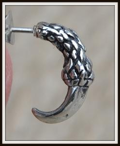 Paire de Boucles d'oreille "Griffe de Dragon" En Acier Inoxydable