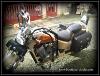 Paires de Sacoches cavalières moto en Cuir - Modèle Franges couleur Noire 