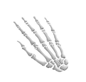 Autocollant Highway Hawk (2 pcs) "Skeleton Hand L + R" 12 X 7,5 cm