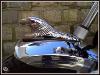Tête d'Aigle d'ornement en Métal pour garde boue moto ou trike - Couleur Chrome - grand modèle avec LED